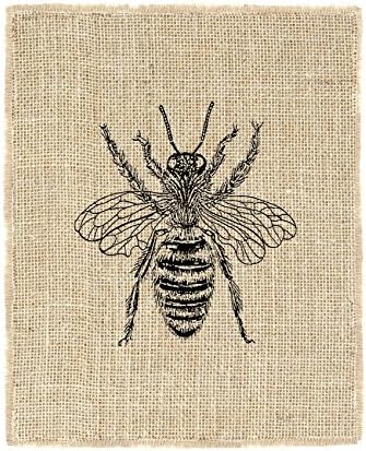 Honey Bee Burlap Wall Art Decor Unframed 8x10 art