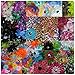 BotiqueCutie 20 Wholesale Flower Hair Clips Various Styles & Sizes