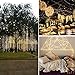 CMYK® 3 Pack Led Copper Wire Lights, 15 Micro Starry LEDs Super Bright Warm White Color Wire Rope Lights, 2 x CR2032 Batteries Included on 6.56 Ft/2M Long (Warm White)