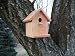 Cedar Birdhouse