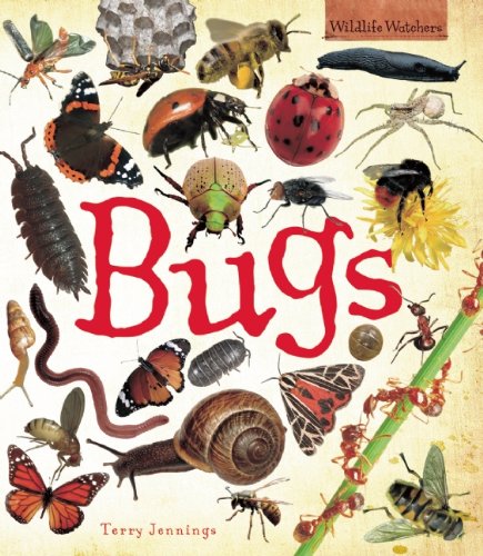 Bugs (Wildlife Watchers)
