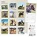 Donkeys 18-Month 2015 Calendar