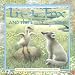 The Little Fox and the Lost Egg
