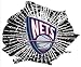 New Jersey Nets Shattered Auto Decal (12 x 10 -inch)