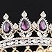 Stuff Crystal Crown Tiaras Prom Party Wedding Bridesmaid Hair Piece with Bobby Pins (Amethyst)