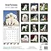 Great Pyrenees Calendar - Breed Specific Great Pyrenees Calendar - 2015 Wall calendars - Dog Calendars - Monthly Wall Calendar by Avonside