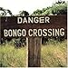 Bossa Nova Beatniks, Danger Bongo Crossing, 発売中