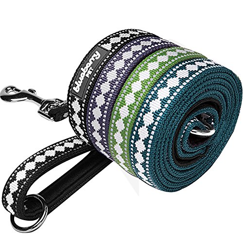 Blueberry Pet Leashes For Dog 1" by 4-Feet Long Jacquard Dog Leash in Moss Green with Neoprene Padded Handle, Large
