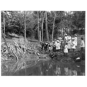 Beaver Dam