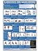 Ejercicios con Mancuernas - Centro/Espalda/pecho y parte inferior del Cuerpo - Cartel - Dumbbell Exercises-Lower Body/Core/Chest and Back (Spanish Edition) CDLL-SP (Poster)