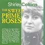 The Sweet Primeroses