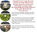 Check out Massive Cash Flow Pack with How To Earn Extra Money, Inner Game and eCommerce for Potty Chairs Biz 3 CD Package