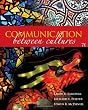 Communication Between Cultures
