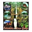 Columbia River Gorge Coverlet