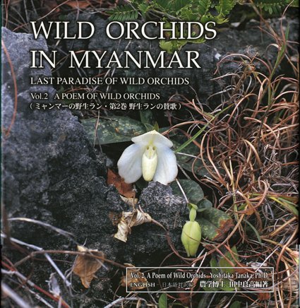 Wild Orchids in Myanmar Vol 2: A Poem of Wild Orchids (Wild Orchids in Myanmar: Last Paradise of Wild Orchids)