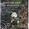 Wild Orchids in Myanmar Vol 2: A Poem of Wild Orchids (Wild Orchids in Myanmar: Last Paradise of Wild Orchids)