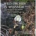 Wild Orchids in Myanmar Vol 2: A Poem of Wild Orchids (Wild Orchids in Myanmar: Last Paradise of Wild Orchids)