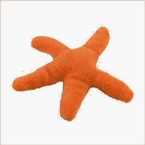 Enchantacat T31 Carly The Starfish Catnip Toy