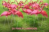 Search : Garden Plast Pink Flamingos, 24-Pack