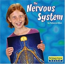 The Nervous System (Human Body Systems)