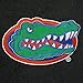Florida Gators Lunch Bag Cooler University of Florida NCAA Lunchbox