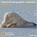 2008 National Geographic Funny Animals Grid Calendar