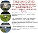 Book The Fantastic Earn More Money, Inner Game and Godfather Principles for SCUBA Masks On-line Businesses 3 CD Power Pack