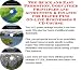 The Quick and Easy Promotion, Godfather Principles and Accounting & Finance for Diaper Pins On-line Businesses 3 CD Course