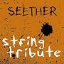 Seether String Tribute