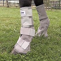 Cashel Crusader Horse Fly Leg Guards Set of Two - Size: Draft
