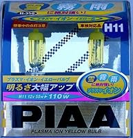 13511 12 Volt Plasma Crystal 100 Watt