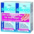 Silicea Doppelpack, 1000g