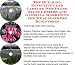 The Guerilla Marketing, Building Effective Lead Capture Web Pages, Sales Letters for ...