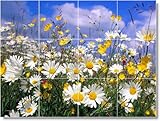 IMAGE OF Flower Photo Kitchen Tile Mural F139 | 12.75x17 using (12) 4.25x4.25 tiles