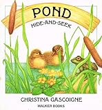 Pond : hide and seek