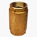 Merrill Mfg. CVR100 Brass Check Valve
