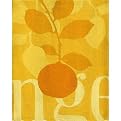 Designs Orange Canvas Giclee - 12x16"
