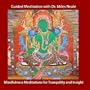 Mindfulness Meditations for Tranquility and Insight with Dr. Miles Neale