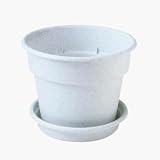 Duraco Products, Inc. SDC8CLST Pot Saucer