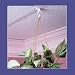 Suspended Ceiling Hook, 2 Long, 2/PK, White, Sold as 1 pack