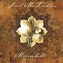 Mirrorball (Live) von Sarah McLachlan