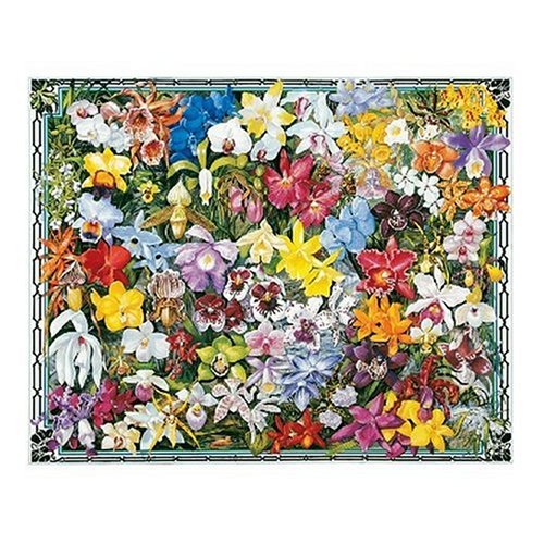 61oYjIO10FL Orchids Jigsaw Puzzle 1000pc