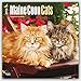 Maine Coon Cats 2016 Calendar