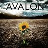 Image of album by Avalon
