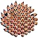 AIVN Colored Pencils, Set of 72 Assorted Colors with Canvas Pencil Holder Organizer for Students Artist Hobbyist