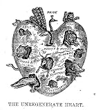 The Bible Looking Glass Illustrated [6 Books in 1]: Religious Emblems Being a Series of Emblematic Engravings; Religious Allegories; Christian Similitudes; Elegy Written in a Country Church Yard; Sunday Book of Pleasing and Comforting Literature
