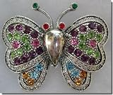 Multi-colored Jewelled Butterfly Pin B3E62