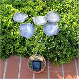 SohoDecor Decorative Potted Glowing Pansies Solar Lights , 5 LEDs version