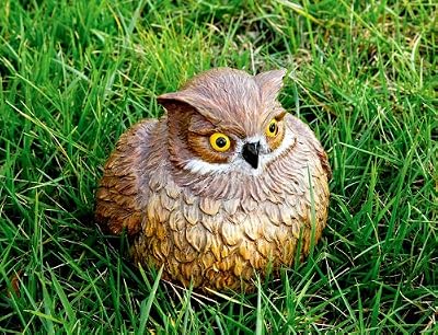 Owl Portly - Medium