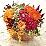 BunBunBee ハッピーハロウィン「カボチャの森の舞踏会♪」